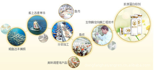 加盟東方海洋膠原蛋白，攜手趙雅芝演繹青春美麗神話